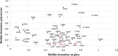 Assessing in vivo and in vitro biofilm development by Streptococcus dysgalactiae subsp. dysgalactiae using a murine model of catheter-associated biofilm and human keratinocyte cell